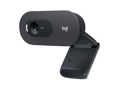 Logitech C505 webcam - Black